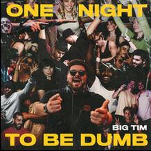 One Night To Be Dumb