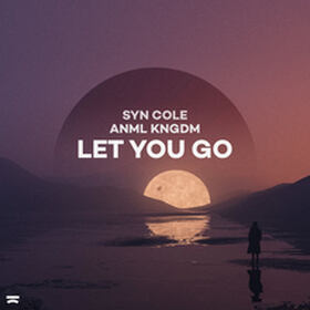 Let You Go