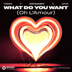 What Do You Want (Oh L'Amour)