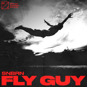 Fly Guy