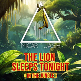 The Lion Sleeps Tonight (In The Jungle)