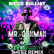 Mr. Gunman (Timster Remix)