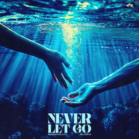 Never Let Go