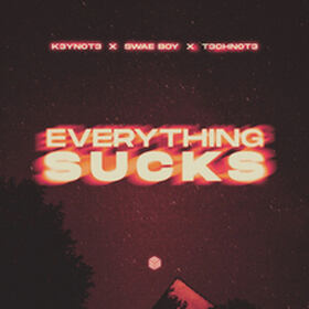 Everything Sucks