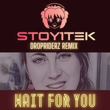 Wait For You (Dropriderz Remix)