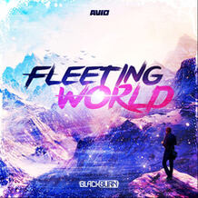 Fleeting World