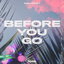 Before You Go