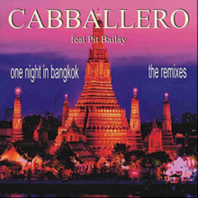 One Night In Bangkok (The Remixes)