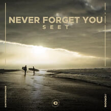 Never Forget You