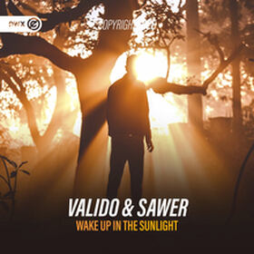 Wake Up In The Sunlight